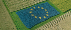 EU's landbrugspolitik efter 2013